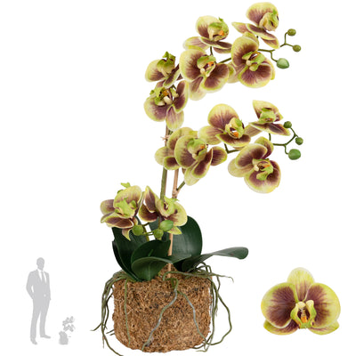 Orhidee artificiala verde cu grena cu aspect natural H54 cm cu 3 tulpini