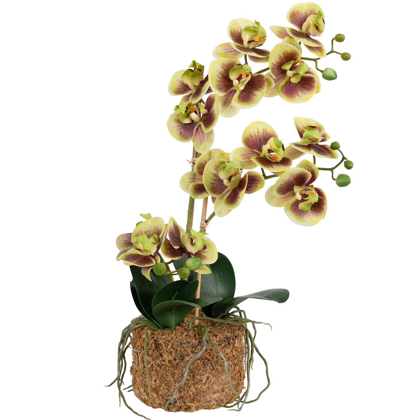 Orhidee artificiala verde cu grena cu aspect natural H54 cm cu 3 tulpini