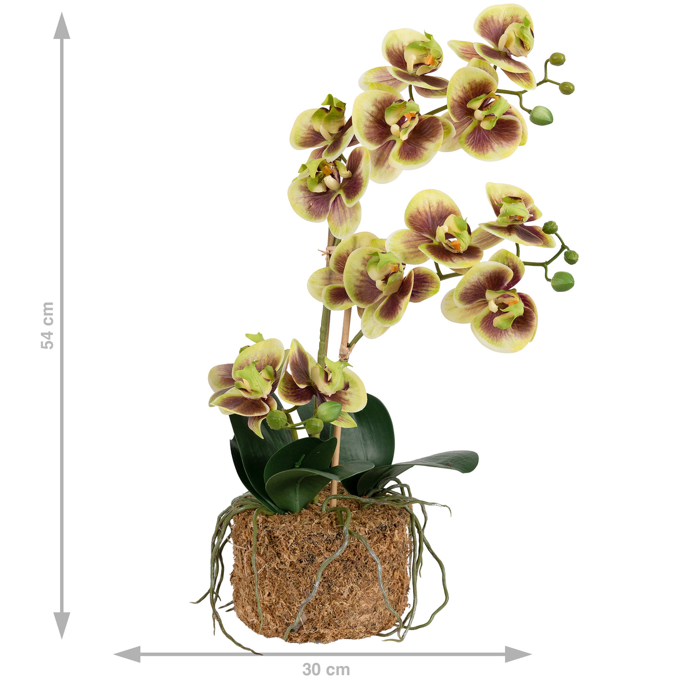 Orhidee artificiala verde cu grena cu aspect natural H54 cm cu 3 tulpini