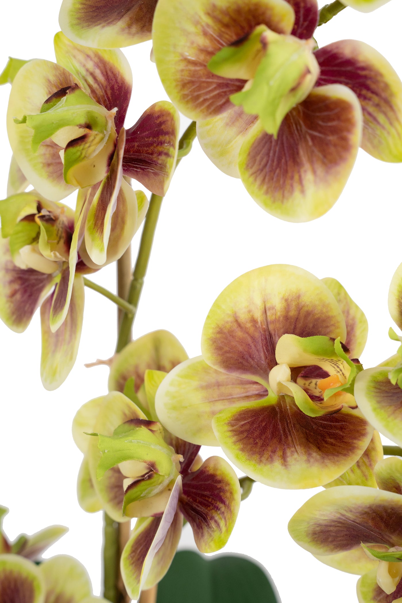 Orhidee artificiala verde cu grena cu aspect natural H54 cm cu 3 tulpini