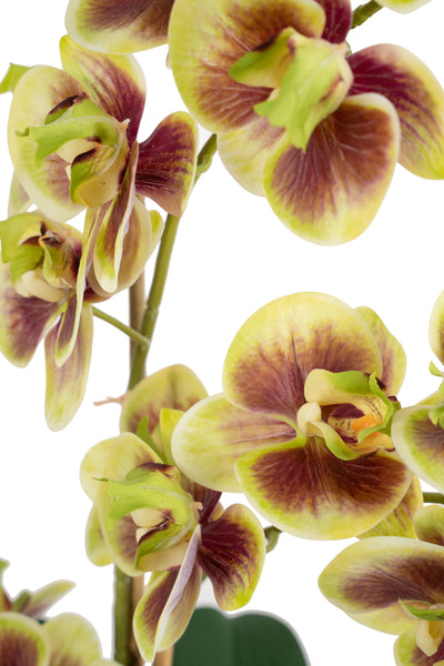 Orhidee artificiala verde cu grena cu aspect natural H54 cm cu 3 tulpini