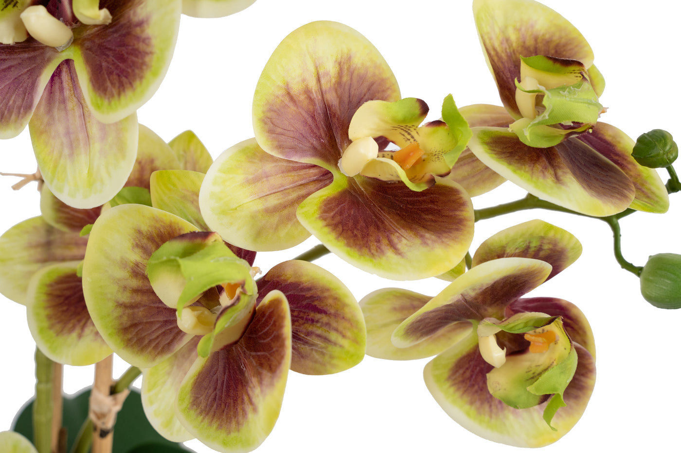 Orhidee artificiala verde cu grena cu aspect natural H54 cm cu 3 tulpini