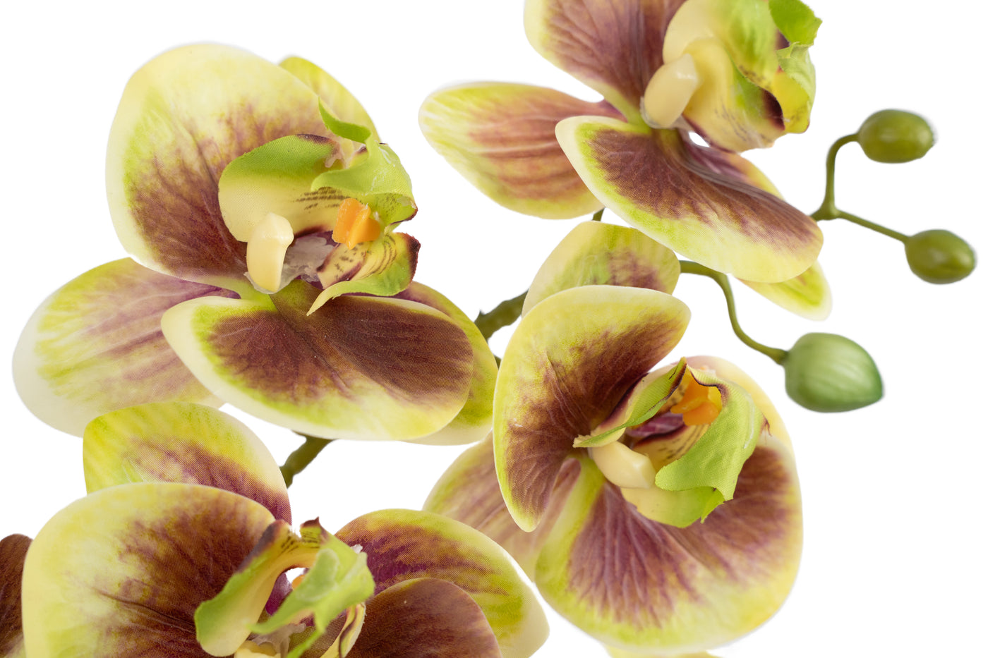 Orhidee artificiala verde cu grena cu aspect natural H54 cm cu 3 tulpini