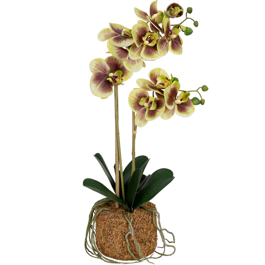 Orhidee artificiala verde cu grena cu aspect natural H55 cm cu 2 tulpini