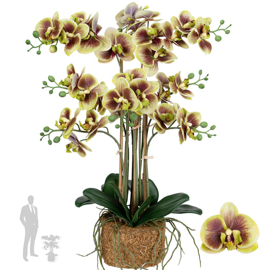 Orhidee artificiala verde cu grena cu aspect natural H68 cm cu 9 tulpini