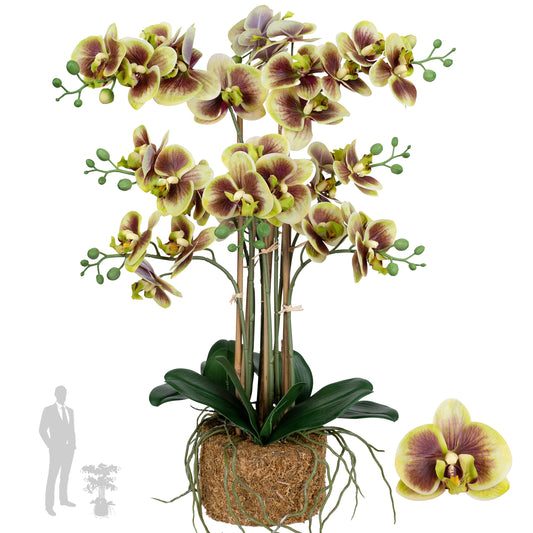 Orhidee artificiala verde cu grena cu aspect natural H68 cm cu 9 tulpini