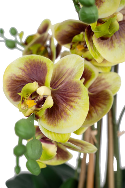 Orhidee artificiala verde cu grena cu aspect natural H68 cm cu 9 tulpini