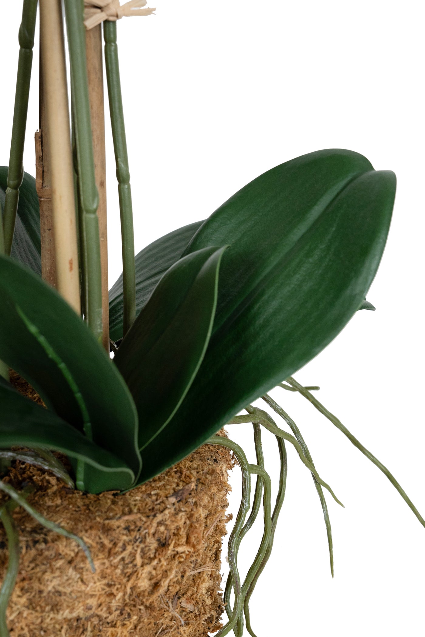 Orhidee artificiala verde cu grena cu aspect natural H68 cm cu 9 tulpini