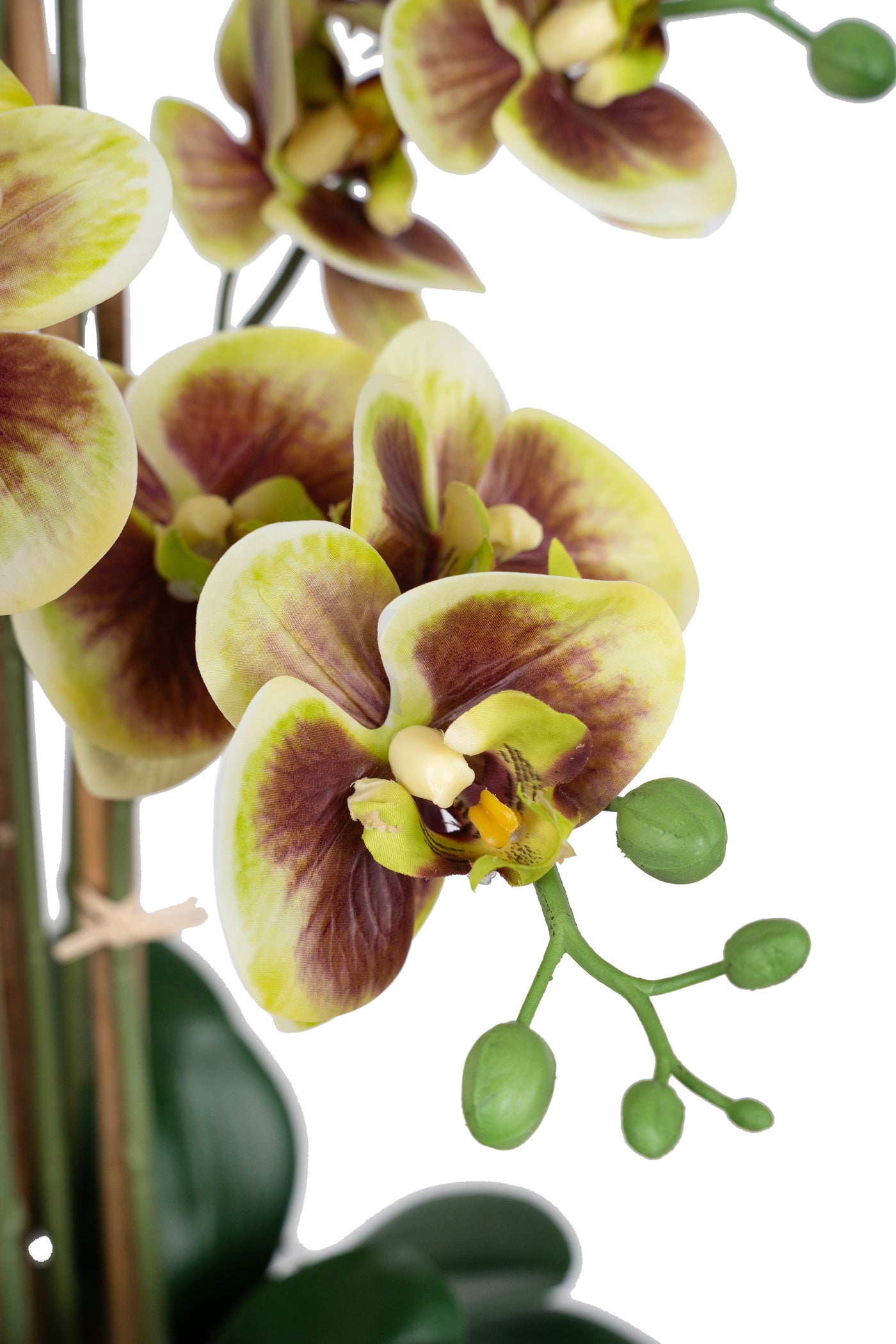 Orhidee artificiala verde cu grena cu aspect natural H68 cm cu 9 tulpini