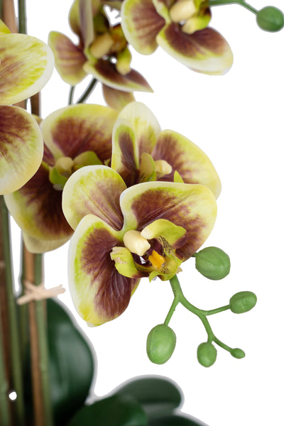 Orhidee artificiala verde cu grena cu aspect natural H68 cm cu 9 tulpini