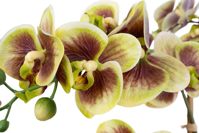 Orhidee artificiala verde cu grena cu aspect natural H68 cm cu 9 tulpini