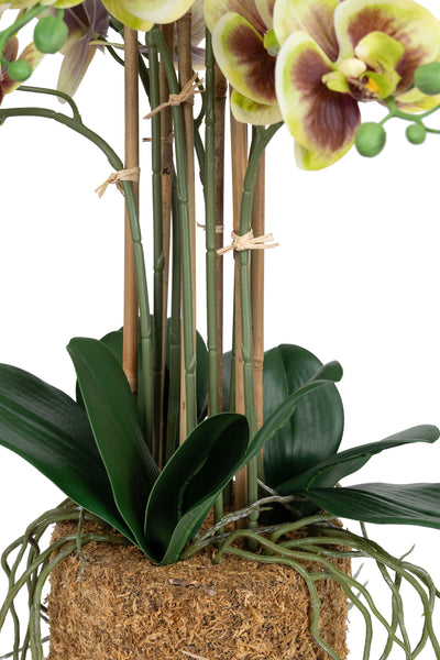 Orhidee artificiala verde cu grena cu aspect natural H68 cm cu 9 tulpini