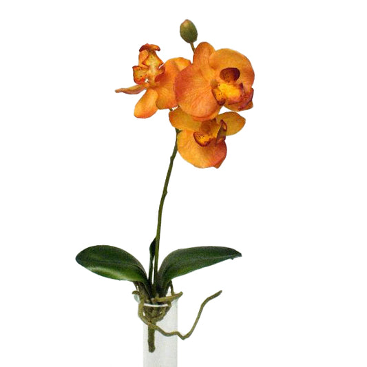 Orhidee artificiale portocalii Phalaenopsis H31 cm HO