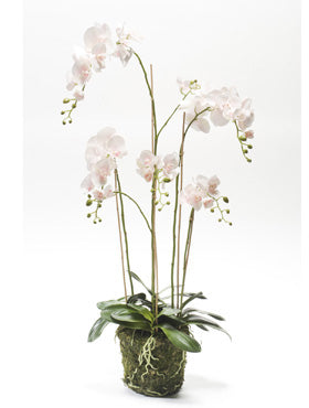 Planta artificiala Orhidee Phalaenopsis 130 cm 39430
