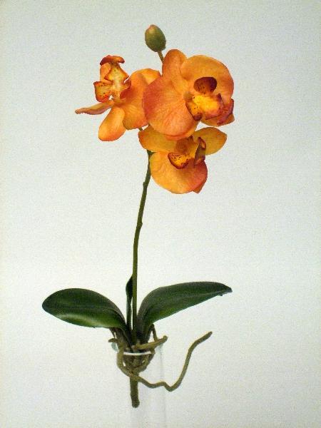 Orhidee artificiale portocalii Phalaenopsis H31 cm HO