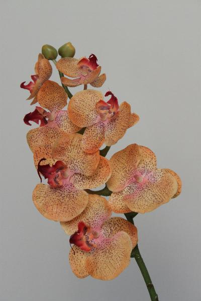 Orhidee artificiala roz-somon Phalaenopsis H70 cm HO