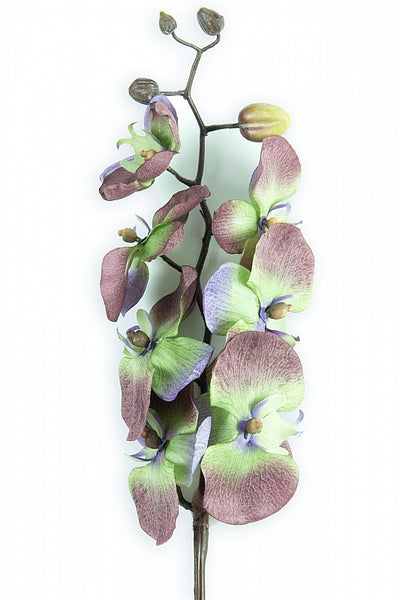 Orhidee artificiala Phalaenopsis D10x9x8x5xH80 cm gri