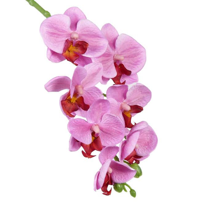 Orhidee artificiala Phalaenopsis D7x5xH50 cm roz