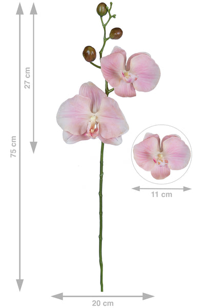 Orhidee Phalaenopsis Jumbo D20x11xH75 cm roz