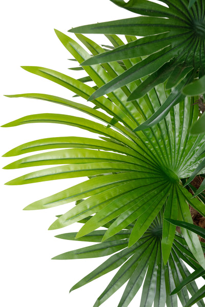 Palm artificial H130cm Chamaerops humilis cu 38 frunze