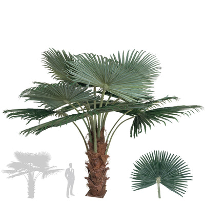 Palm artificial H200cm Washingtonia. coroana D300cm cu protectie UV