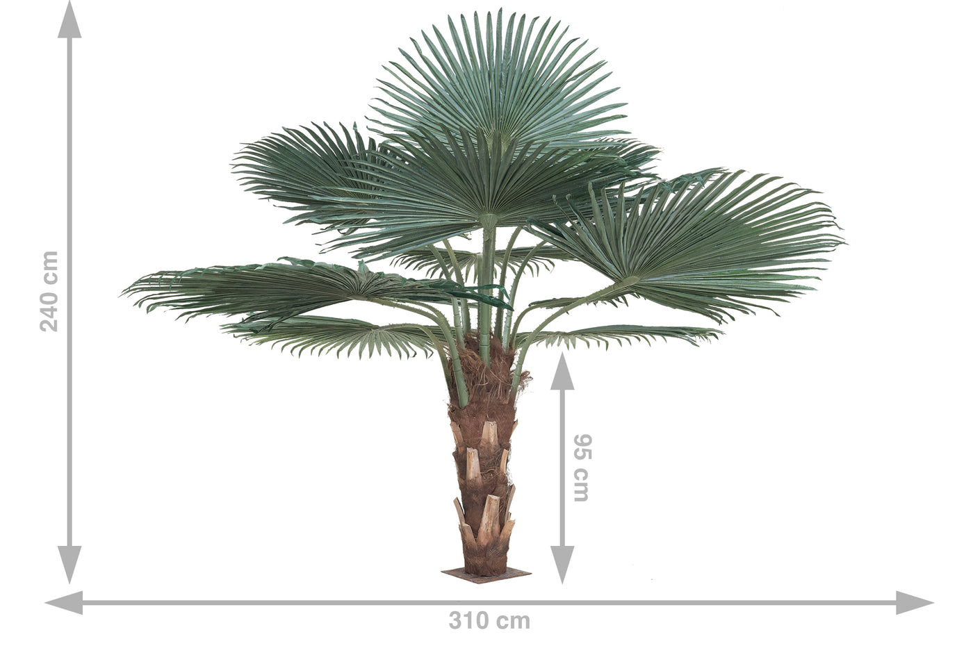 Palm artificial H200cm Washingtonia cu trunchi natural. coroana D300cm cu protectie UV