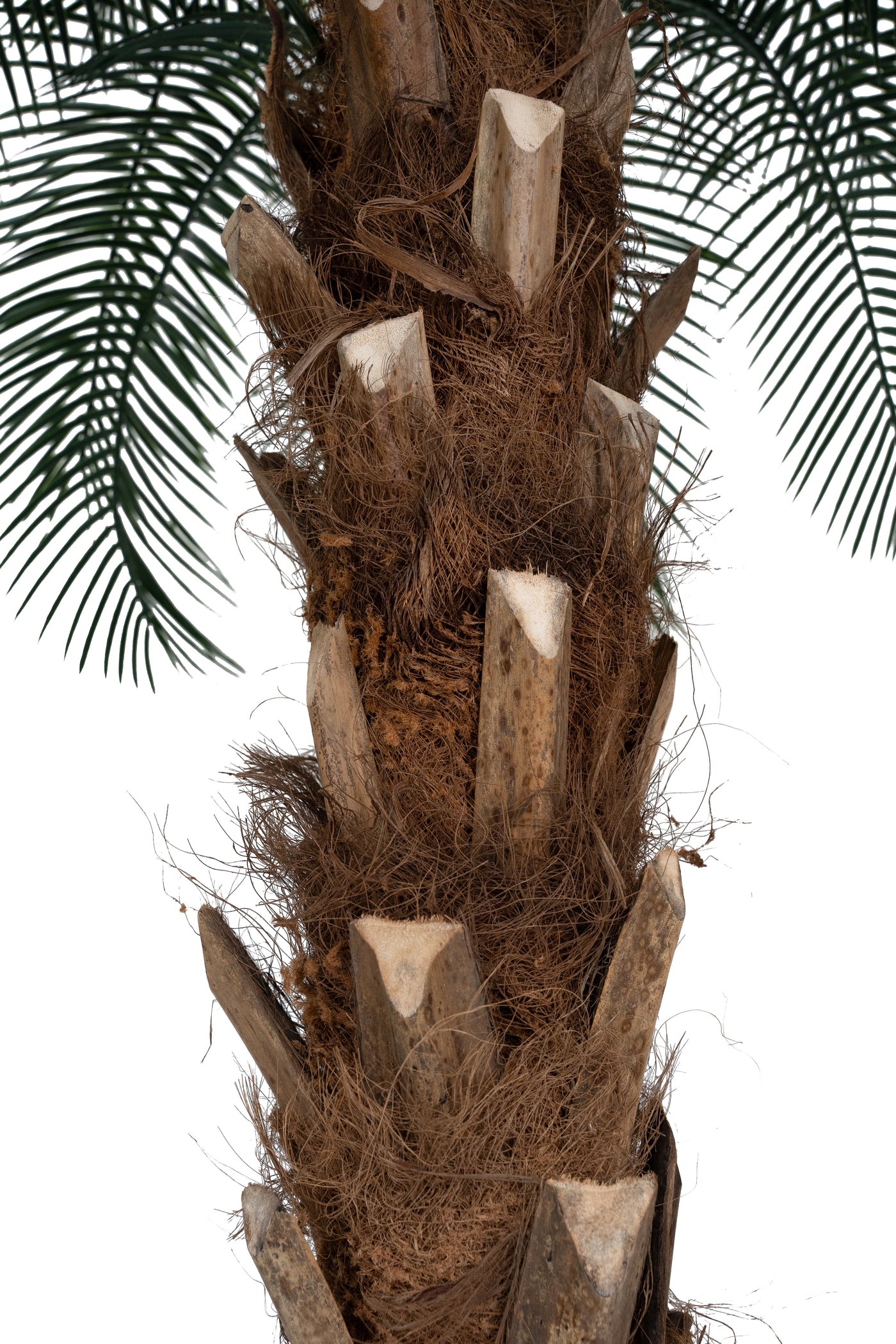 Palm artificial H210cm Phoenix roebelenii cu 24 frunze