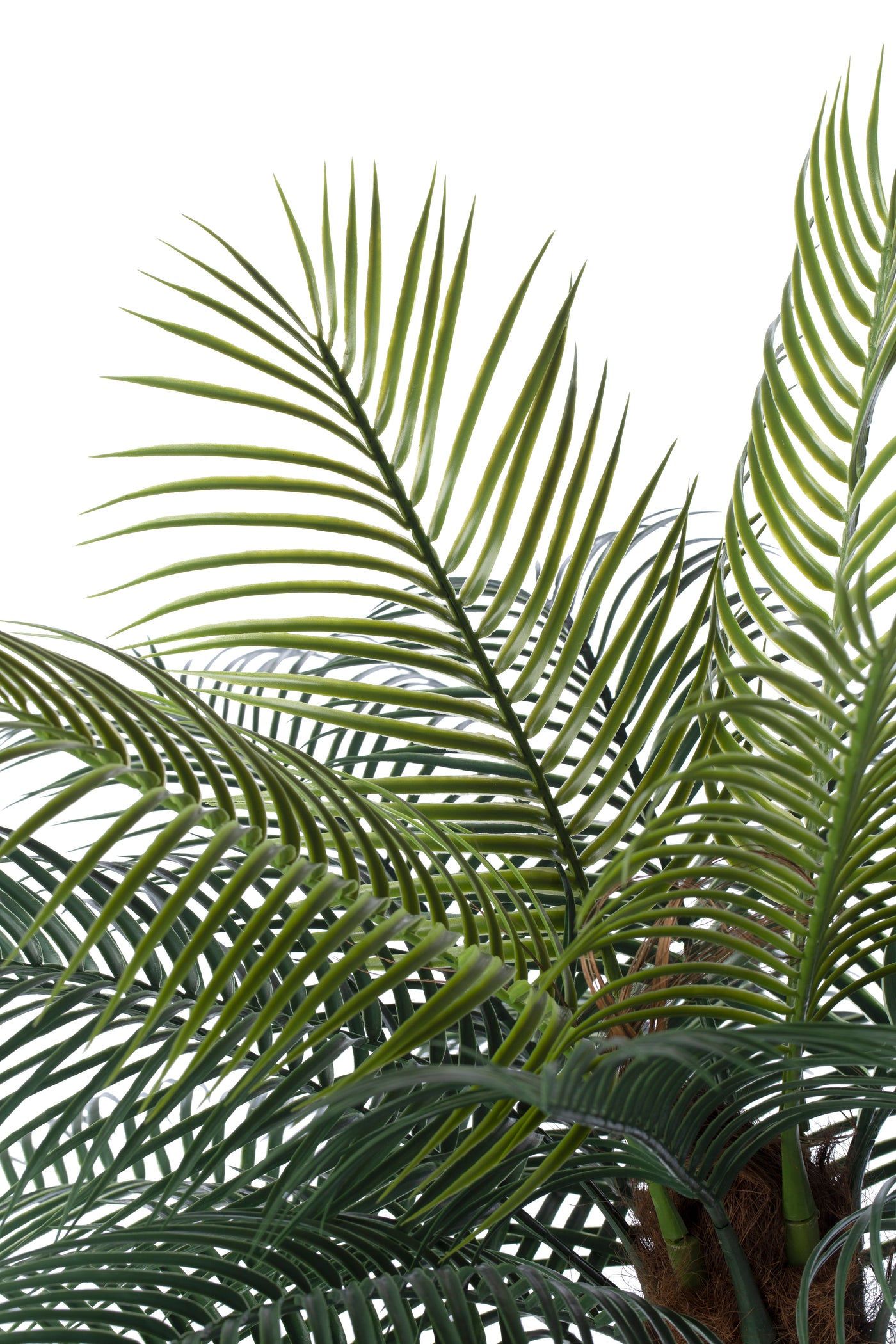 Palm artificial H220cm Phoenix roebelenii