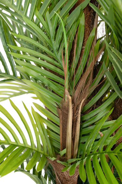 Palm artificial H160cm Areca cu 48 frunze
