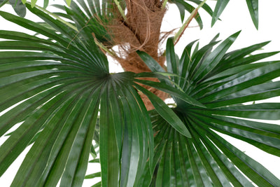 Palm artificial H150cm Chamaerops humilis cu 18 frunze