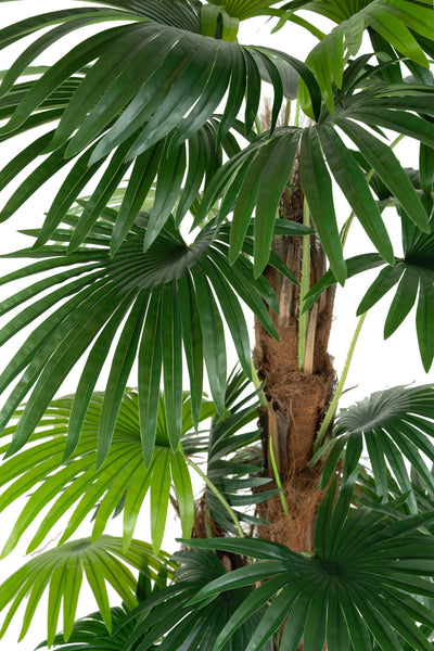 Palmier artificial Chamaerops humilis cu 24 frunze H150 cm