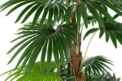 Palmier artificial Chamaerops humilis H150 cm cu 24 frunze