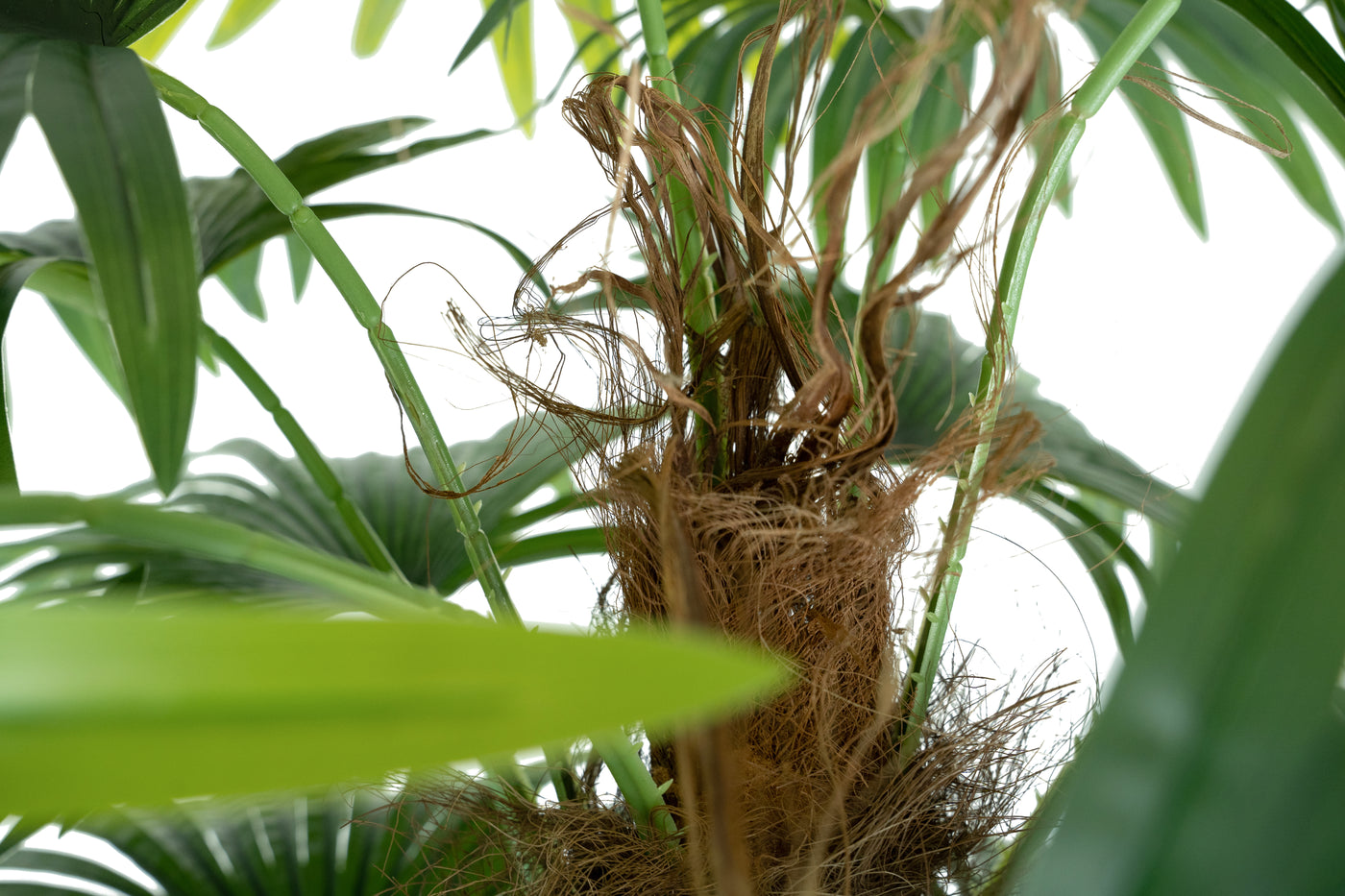 Palmier artificial Chamaerops humilis cu 2 tulpini si 28 frunze H180 cm