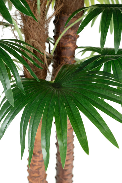 Palmier artificial Chamaerops humilis cu 2 tulpini si 28 frunze H180 cm