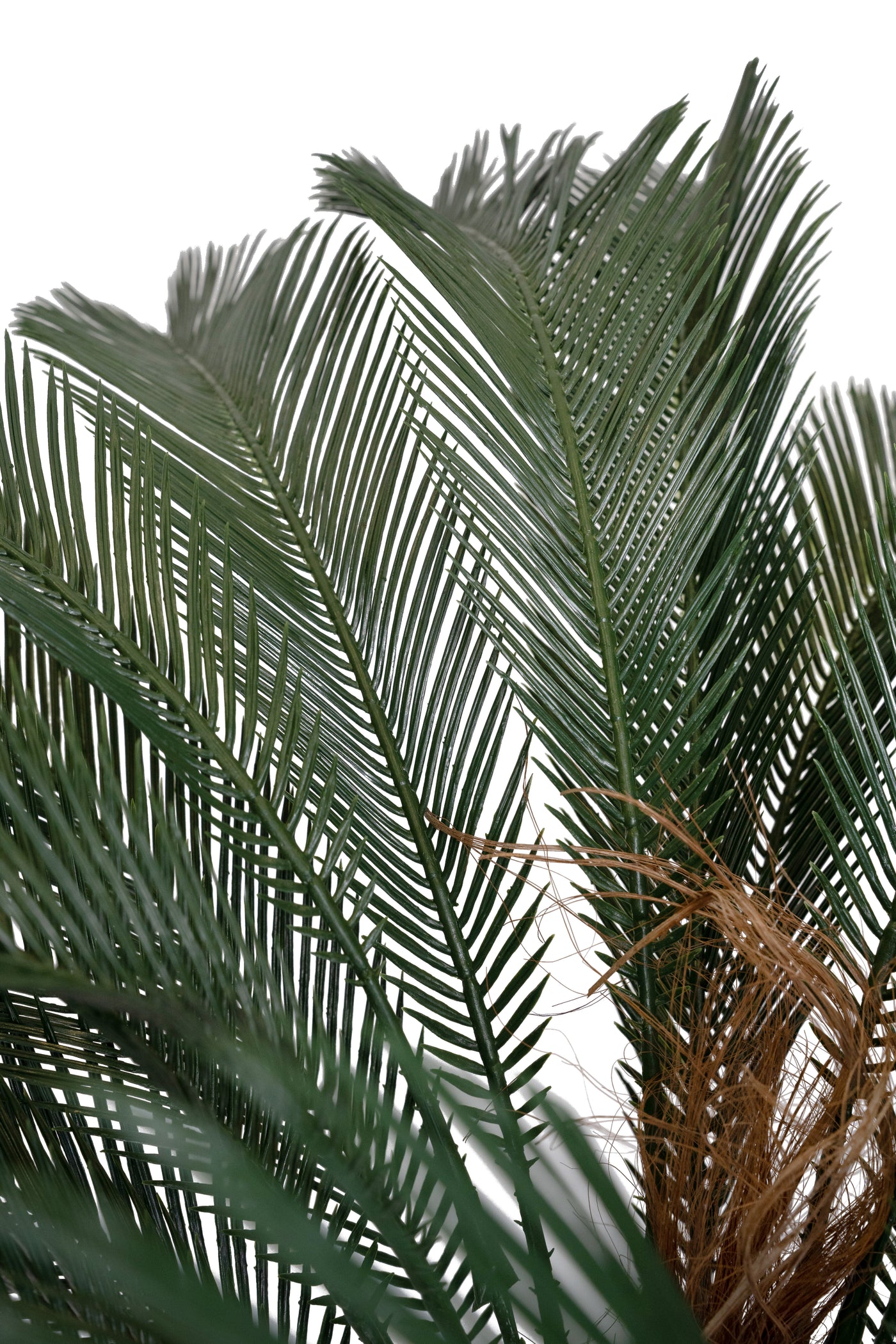 Palm artificial H210cm Cycas cu 30 frunze cu protectie UV