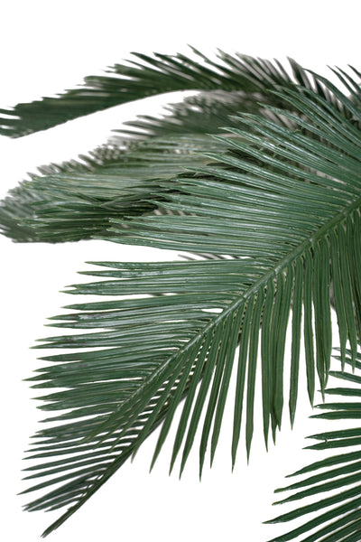 Palm artificial H210cm Cycas cu 30 frunze cu protectie UV