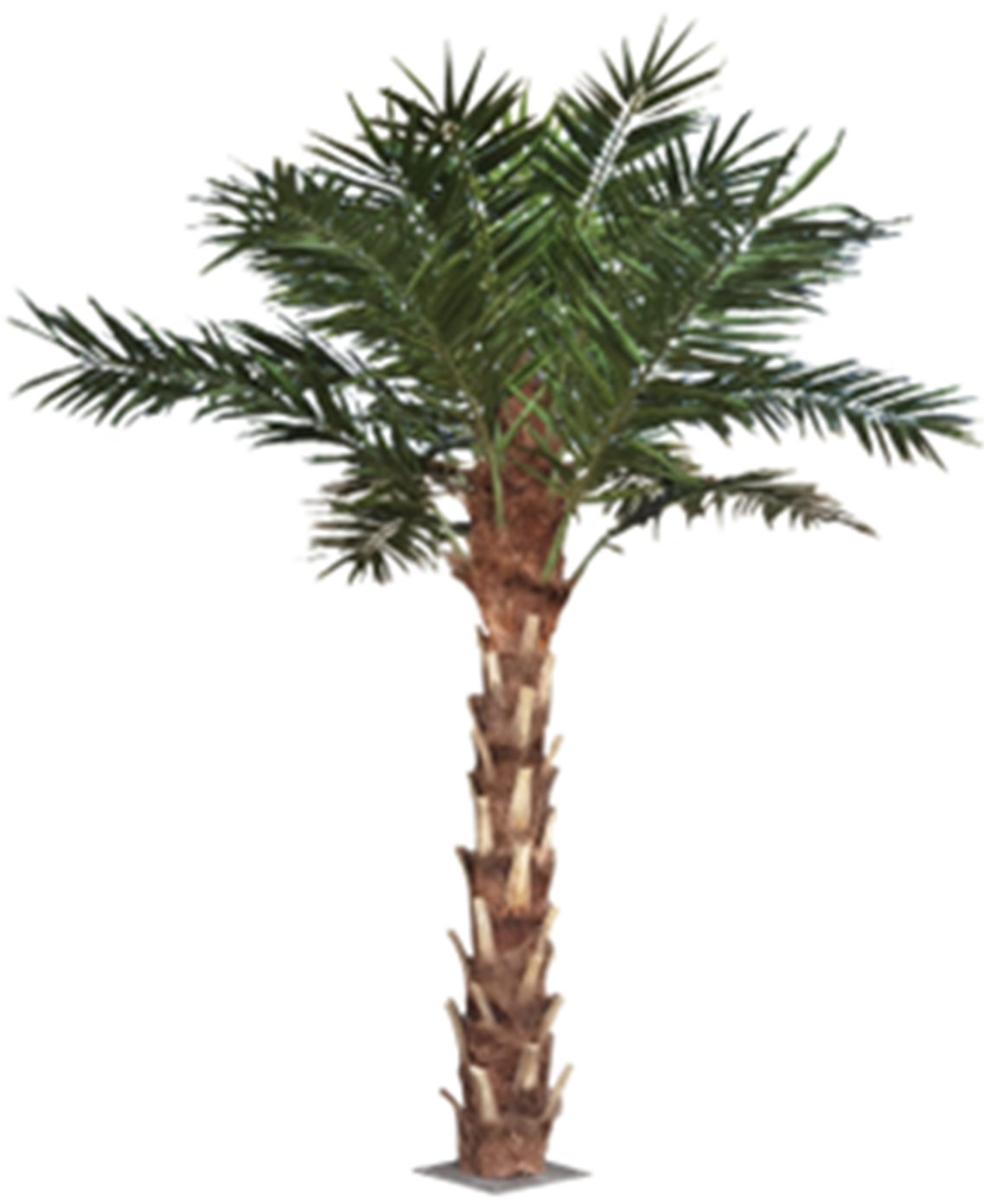 Palm artificial H350cm Phoenix exotic cu trunchi natural, coroana D350cm cu protectie UV