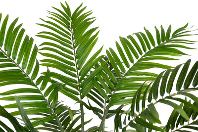 Palmier artificial H120cm Areca cu 639 frunze
