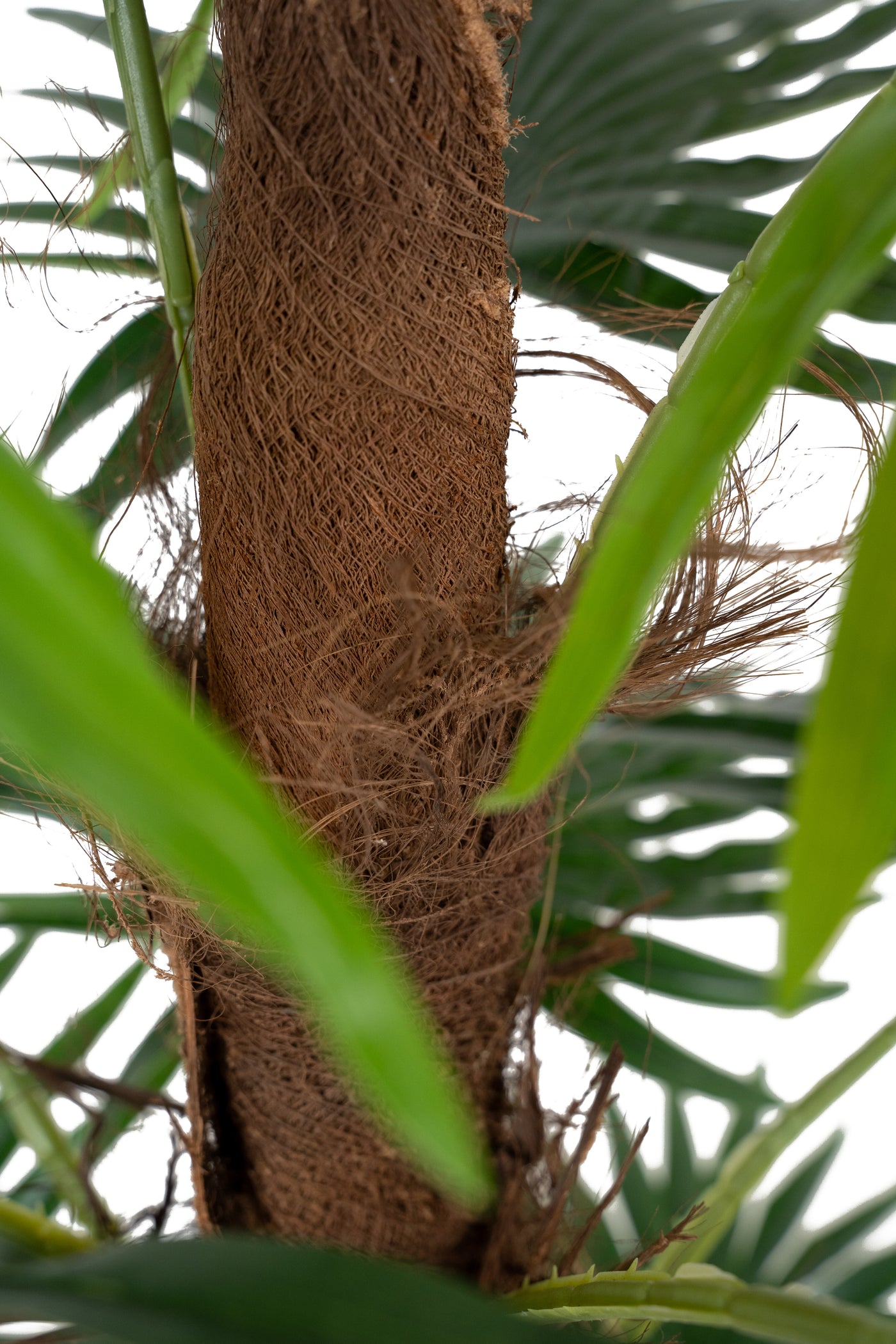 Palmier artificial H120cm Chamaerops humilis cu 15 frunze