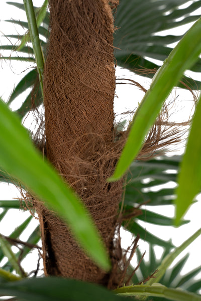 Palmier artificial H120cm Chamaerops humilis cu 15 frunze
