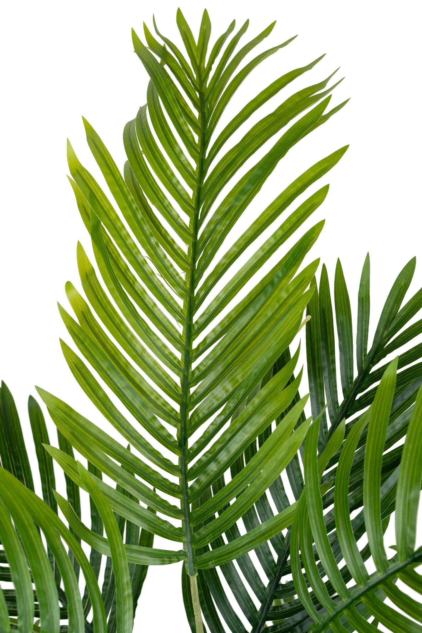 Palmier artificial H120cm Kentia cu 15 frunze