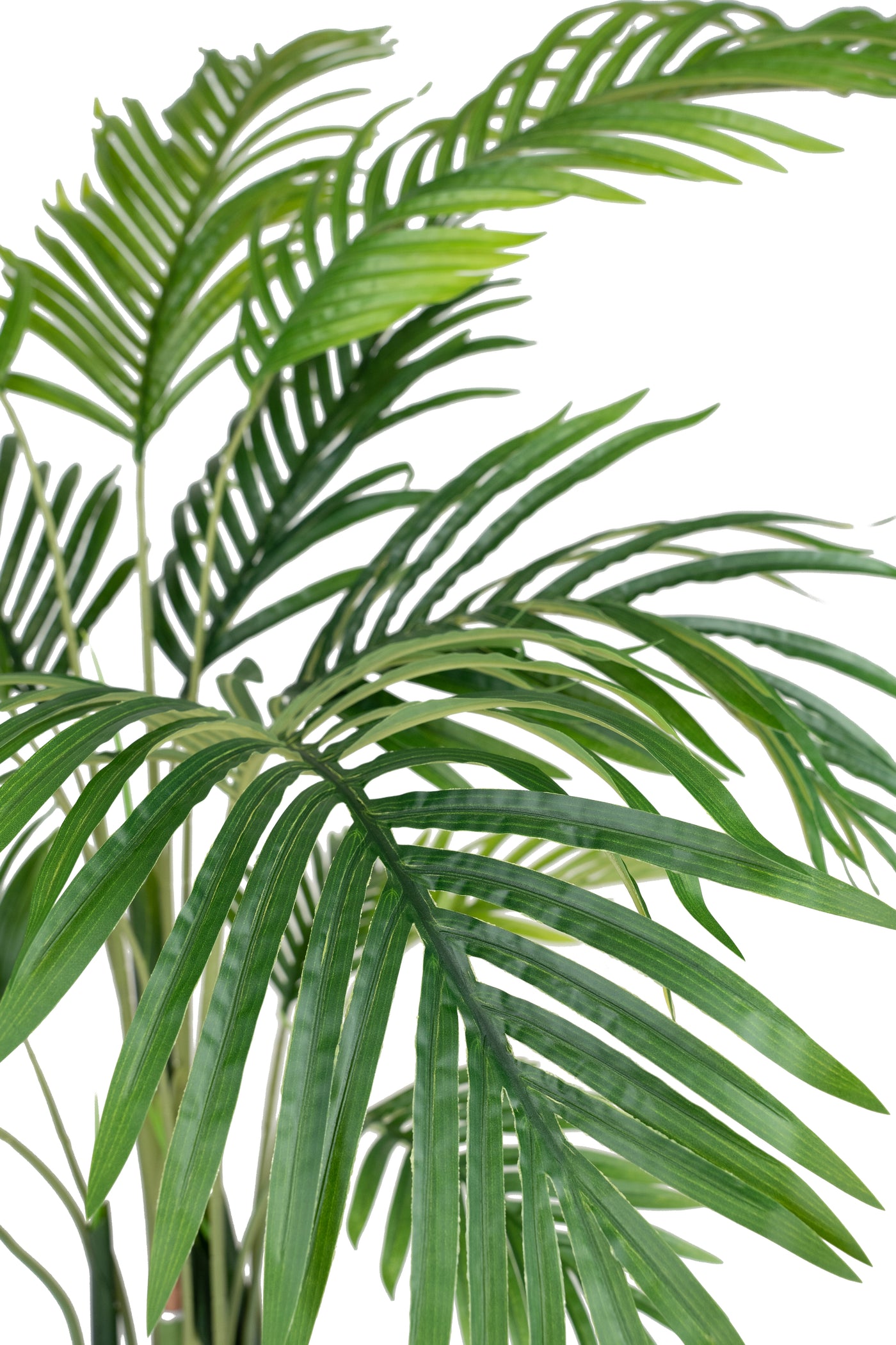 Palmier artificial H120cm Kentia cu 15 frunze