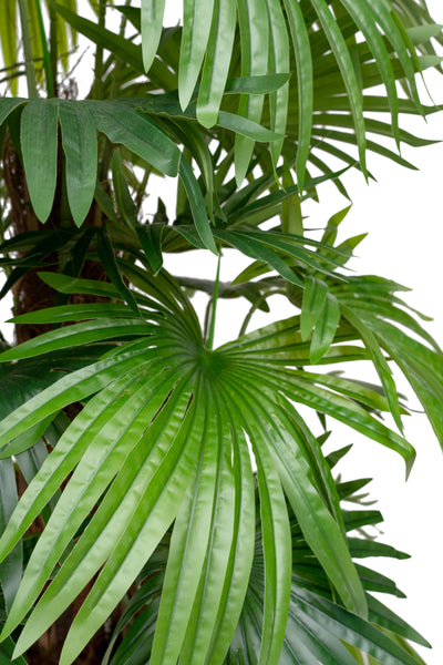 Palmier artificial H130cm Chamaerops humilis cu 21 frunze