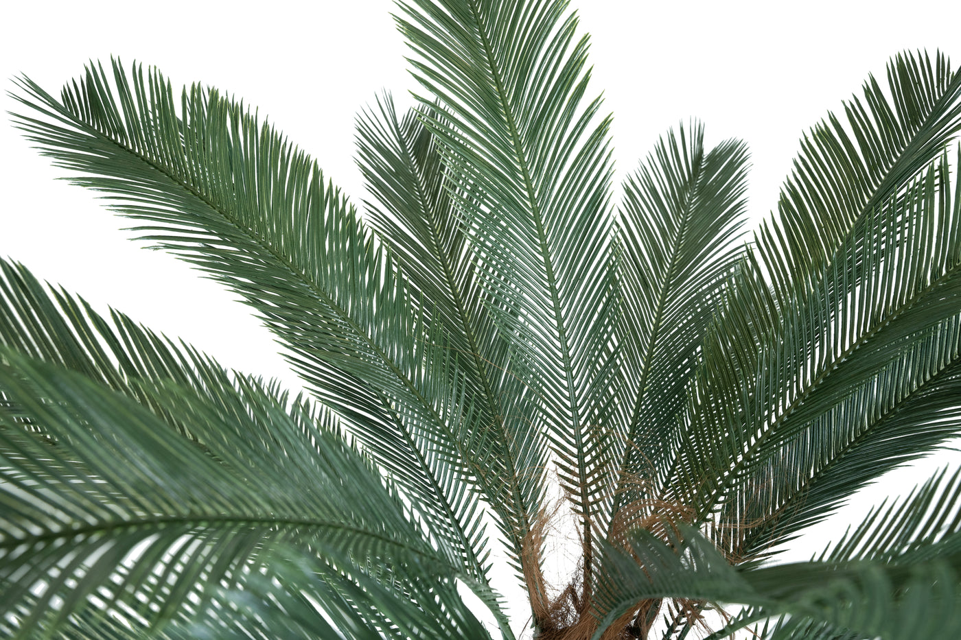 Palmier artificial H130cm Cycas cu 30 frunze cu protectie UV