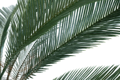 Palmier artificial H130cm Cycas cu 30 frunze cu protectie UV