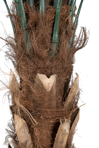 Palmier artificial H130cm Phoenix roebelenii cu 24 frunze cu protectie UV