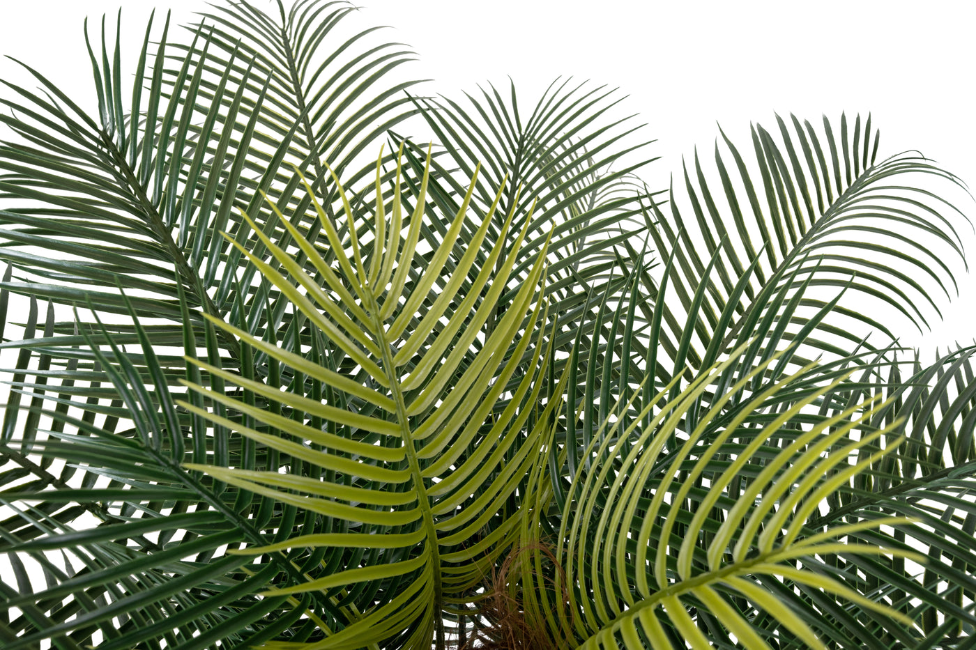 Palmier artificial H130cm Phoenix roebelenii cu 24 frunze cu protectie UV