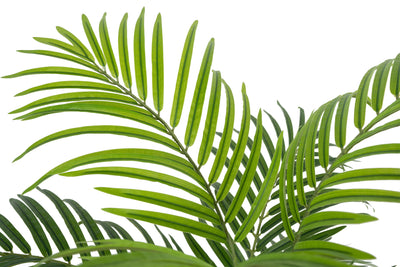 Palmier artificial H140cm Lady palm cu 13 tulpini si 13 frunze