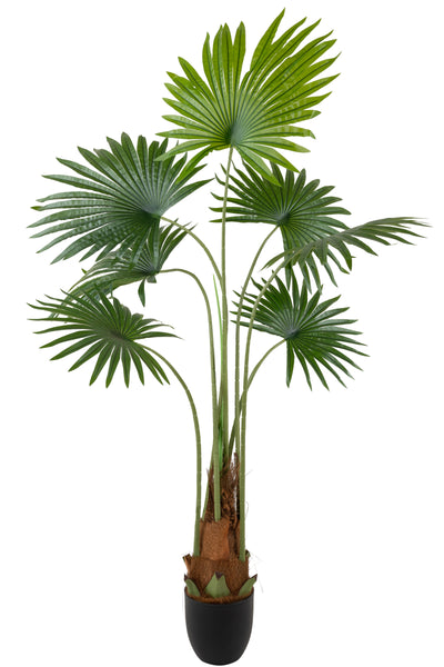 Palmier artificial H140cm Washingtonia robusta cu 7 frunze cu protectie UV