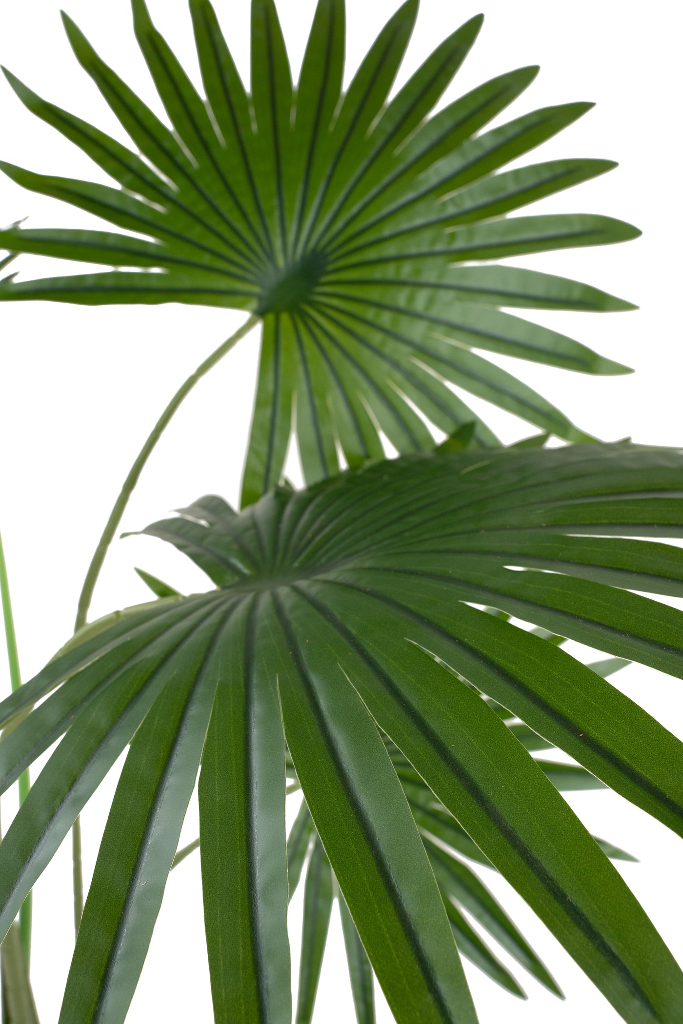 Palmier artificial H140cm Washingtonia robusta cu 7 frunze cu protectie UV